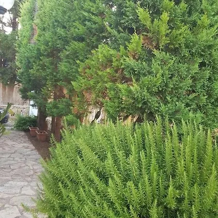 Apartment Delle Pomelie - Castellammare Del Golfo *